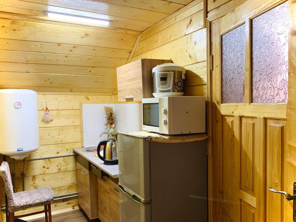 За Горбами Apartment Yaremche Bagian luar foto