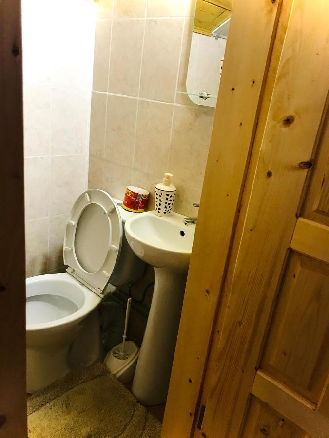 За Горбами Apartment Yaremche Bagian luar foto